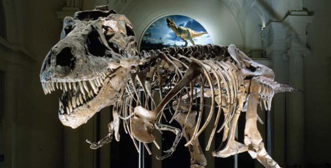 The Spintech VII Banquet will be held at the world-famous Field Museum. Credit: The Field Museum