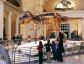 Sue, the largest complete T. rex ever discovered. Credit: Choose Chicago